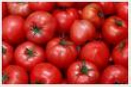 Tomato Color